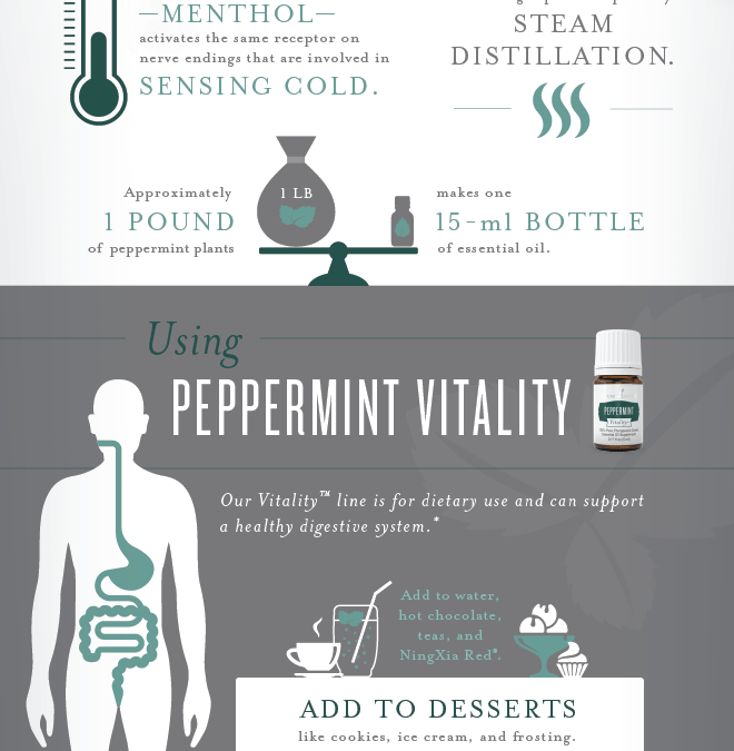 All about Peppermint