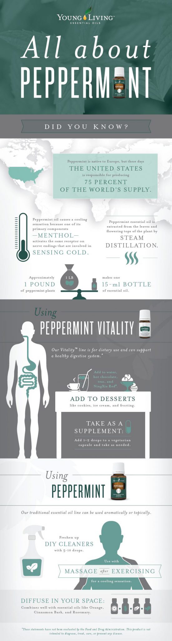 All about Peppermint