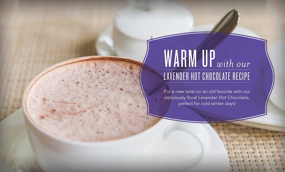 Lavender Hot Chocolate