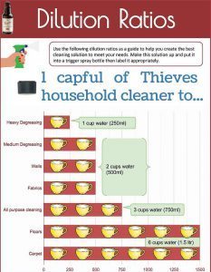 thieves dilution