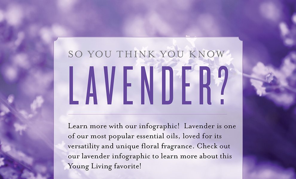 All about Lavender