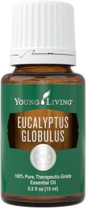 Eucalyptus Globulus