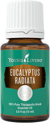 Eucalyptus radiata essential oil