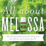 All About Melissa Essential Oil