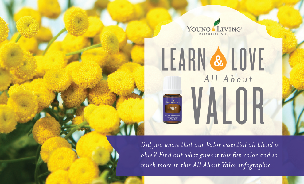 Learn about Valor essential oil blend Infographic